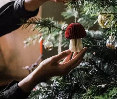 Crocus Christmas Collection: Trendy Gifts to Light Up the Season