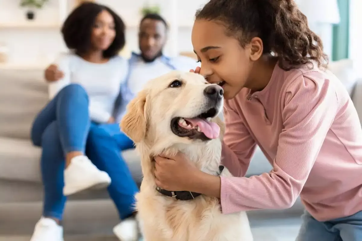 Top Picks for Dog Treats, Toys, and Hydration