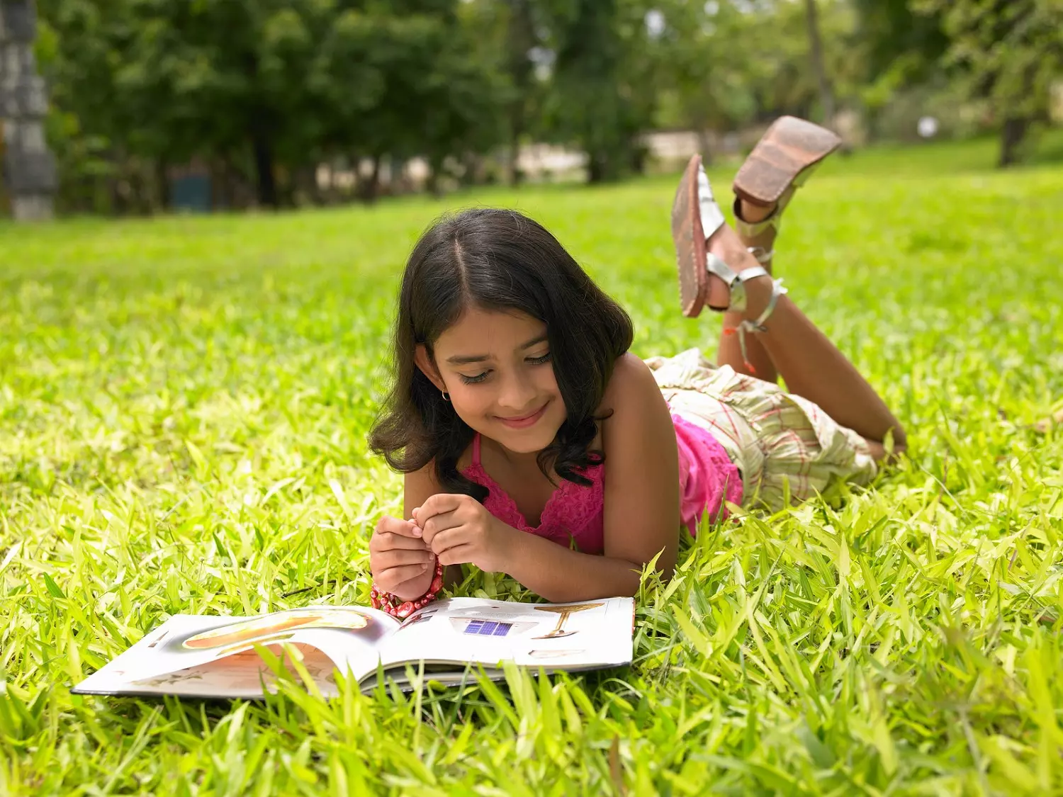 Summer Adventures in Reading Await Young Minds