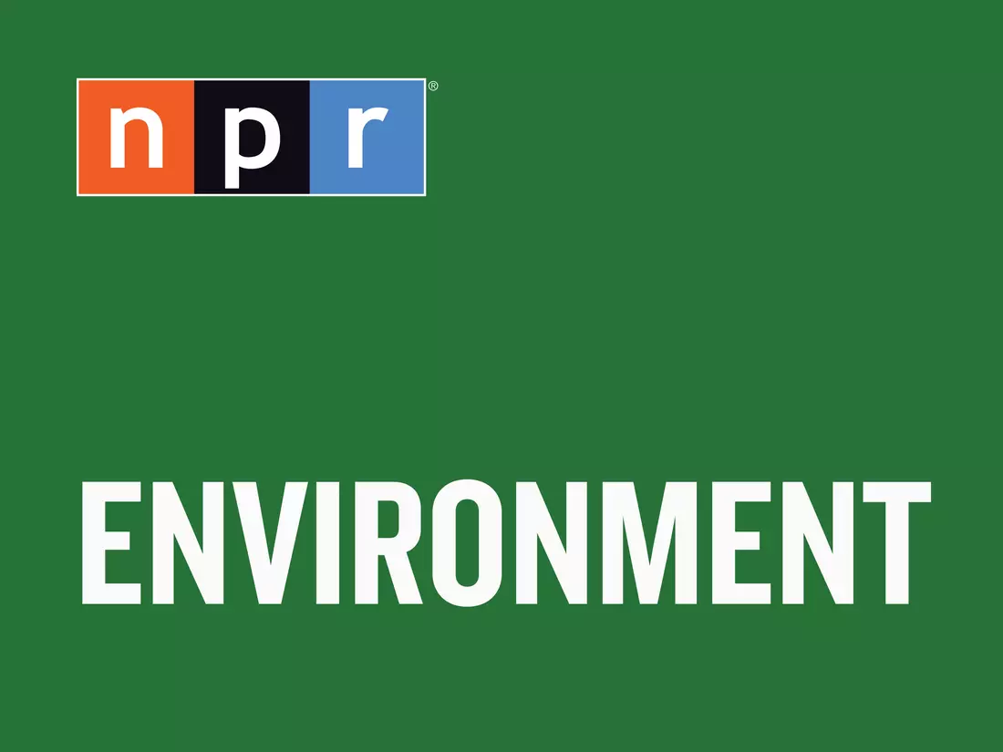 The Enduring Challenge of Sealing Abandoned Oil and Gas Wells Across the U.S.