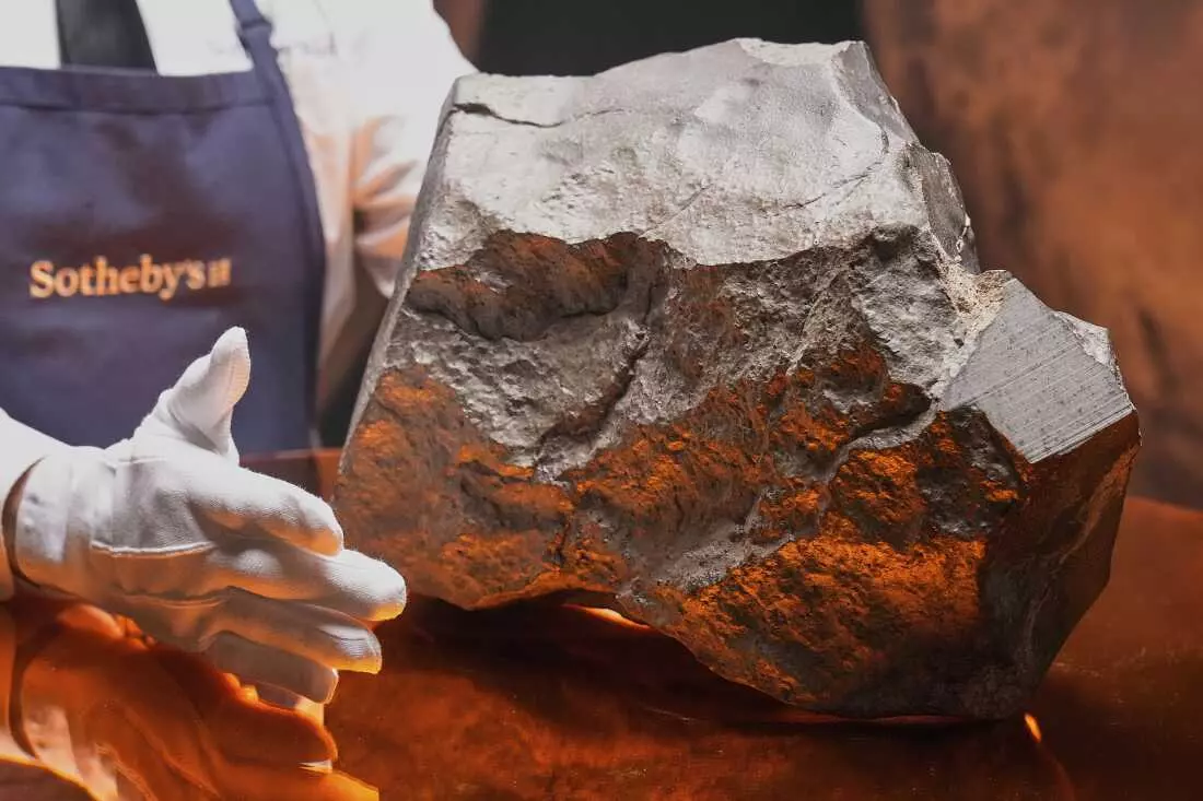 A Martian Meteorite's Journey to Auction