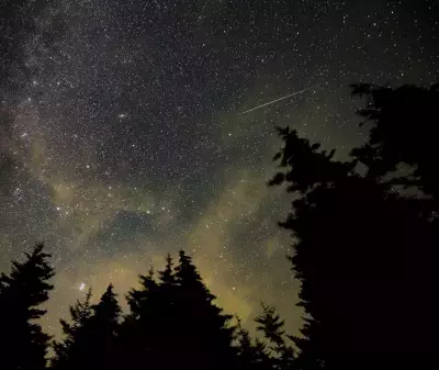 Optimal Meteor Viewing: Prioritizing Lesser-Known Showers Over the Perseids This Year