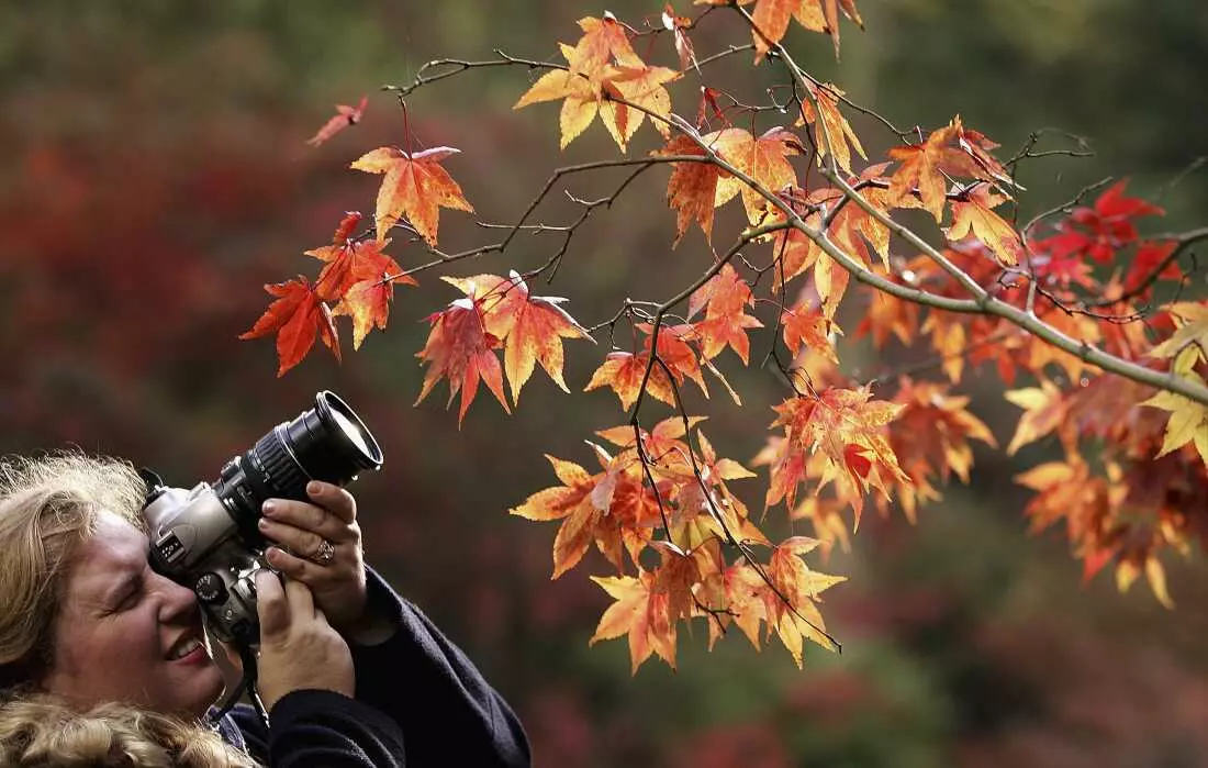 World Photography Day: Share Your Story Through Images