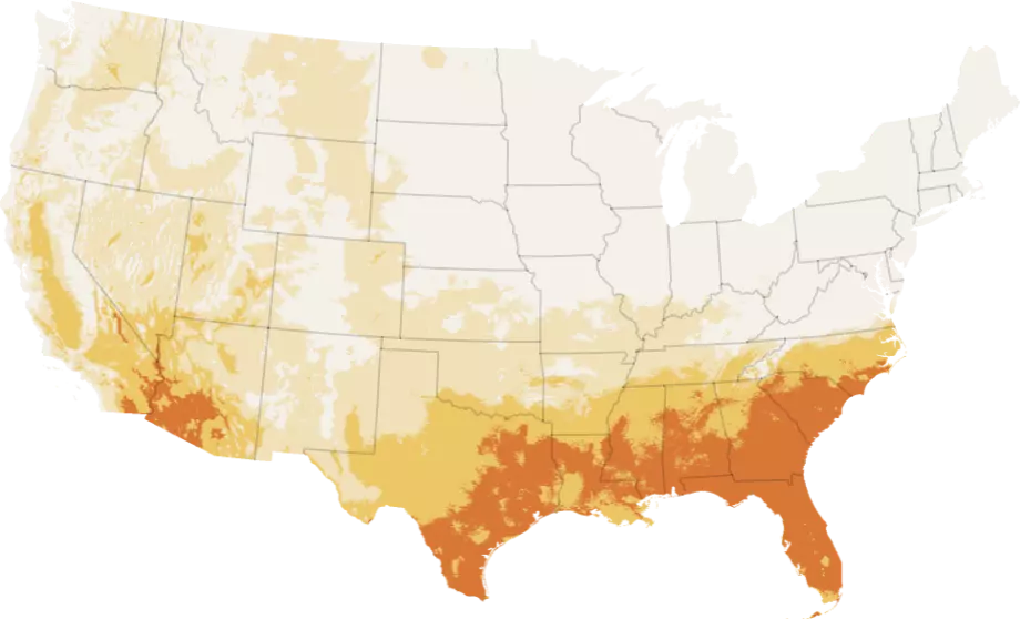 California's Unusually Cool Summer: A Climatic Anomaly Affecting the Golden State