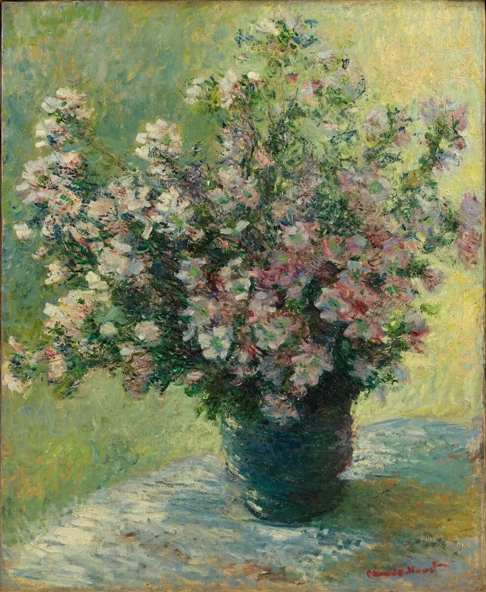 A Journey into Blurred Vision: Discovering Monet's World Through My Own Eyes