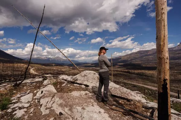 Jasper National Park: A Year After the Blaze, Lessons for Future Wildfire Management