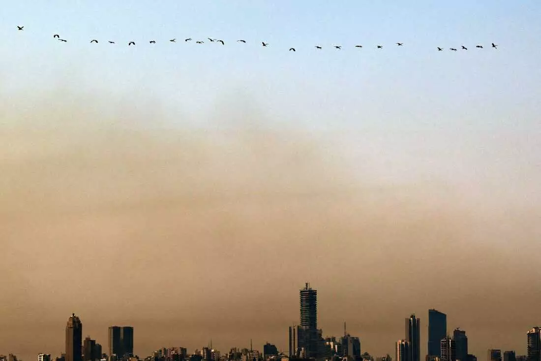 Lebanon's Escalating Cancer Crisis: Causes and Potential Solutions