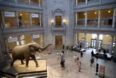 Cultural Institutions Reopen After Government Shutdown