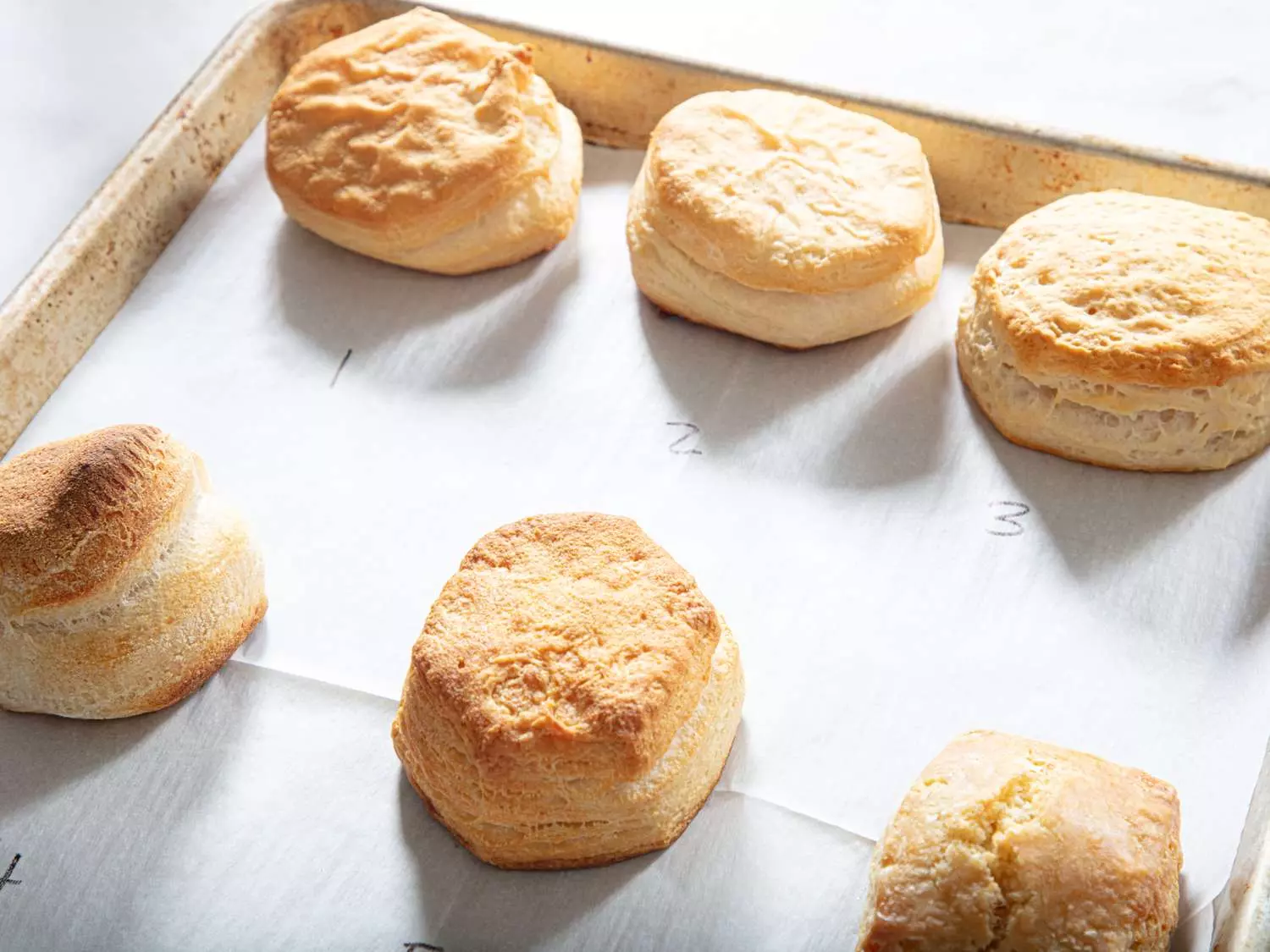The Ultimate Guide to Frozen Biscuits: Taste Test and Top Picks
