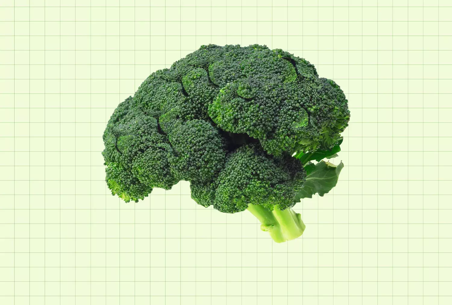 The Profound Impact of Folate Deficiency on Brain Health