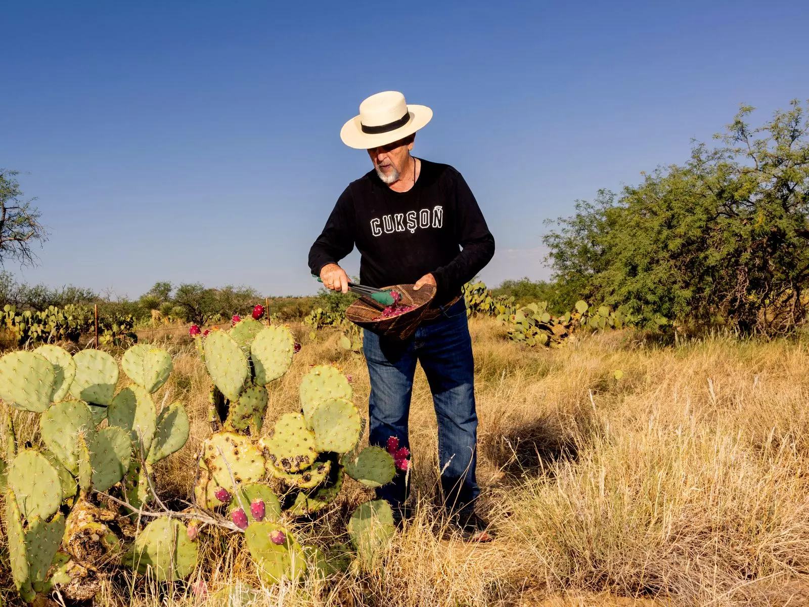 Tucson: A Culinary Journey Through the Sonoran Desert