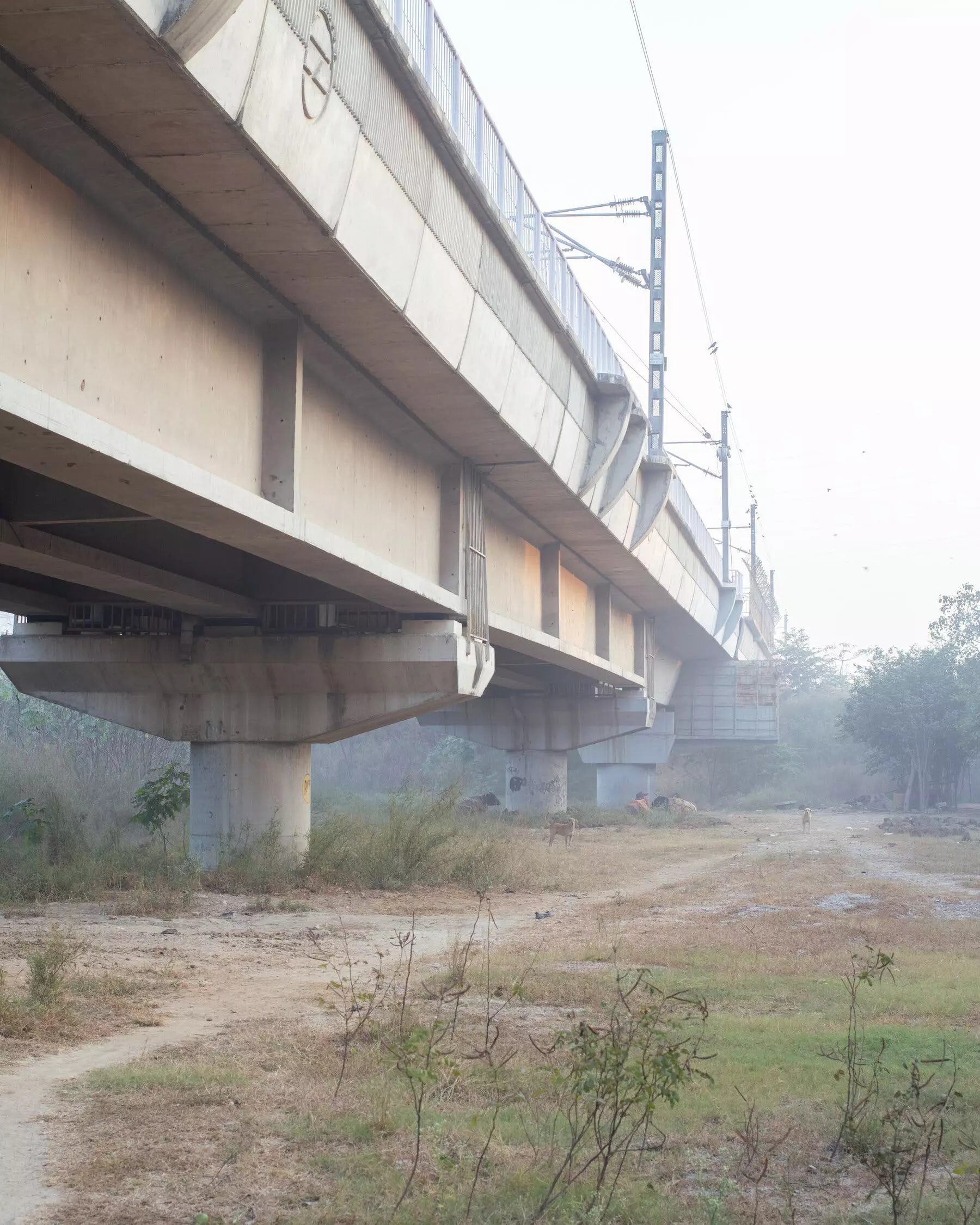 India's Air Pollution Crisis: A Winter of Despair