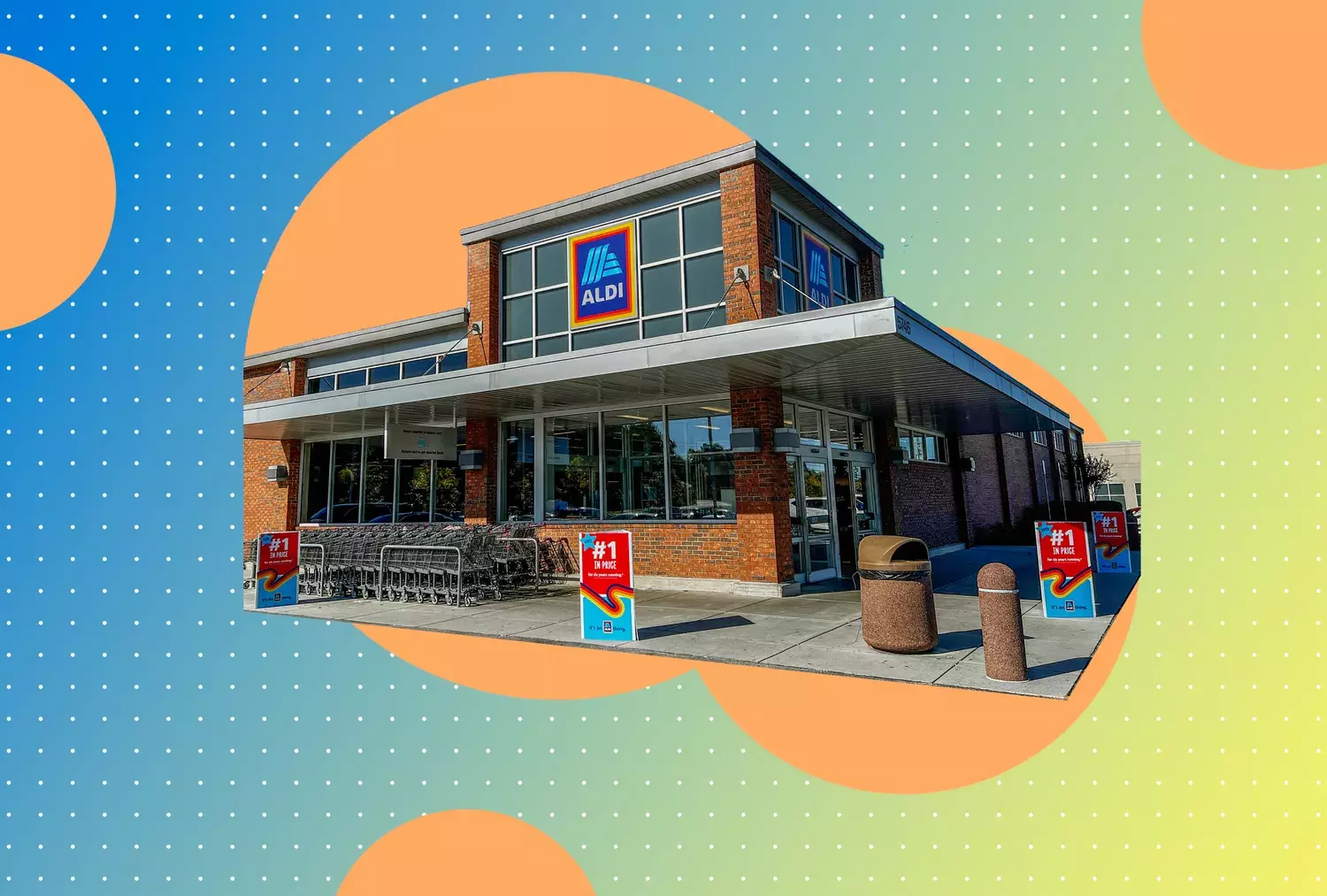Top 10 Underrated Aldi Essentials