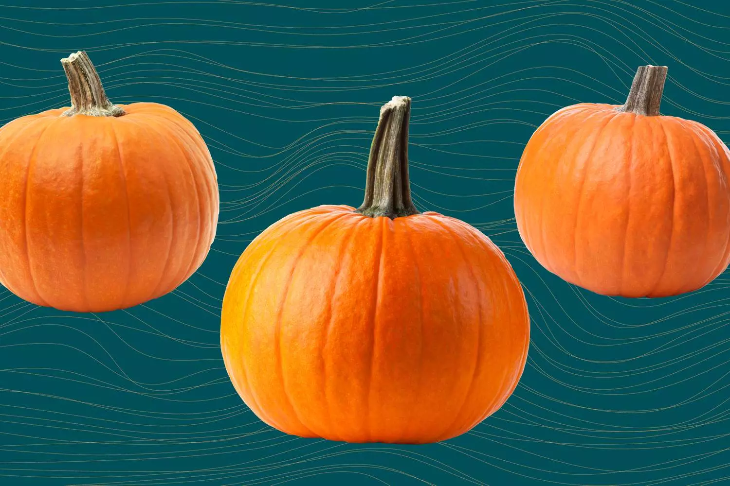 The Comprehensive Guide to Pumpkin: Health Benefits, Nutrition, and Culinary Uses