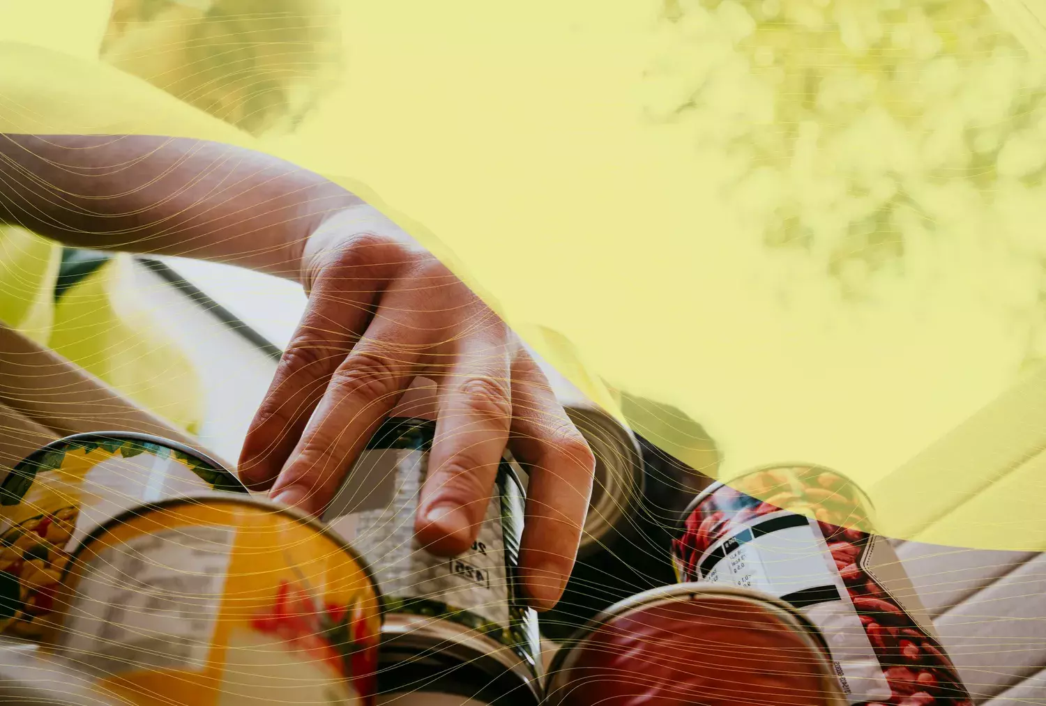 Maximizing Your Impact: Essential Food Bank Donations