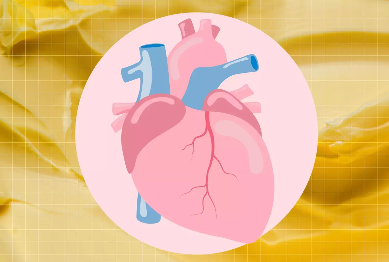 Exploring Butter's Impact on Cardiovascular Health: A Detailed Analysis