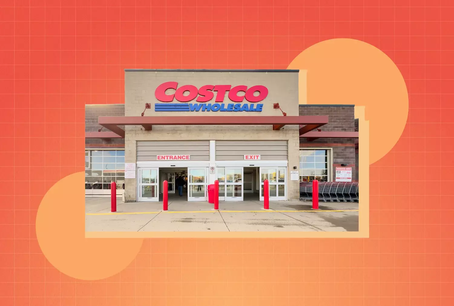 Top 8 Costco Deals for Healthy Living This Season