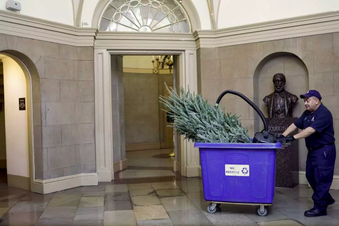 Sustainable Holiday Cleanup: Managing Post-Celebration Waste