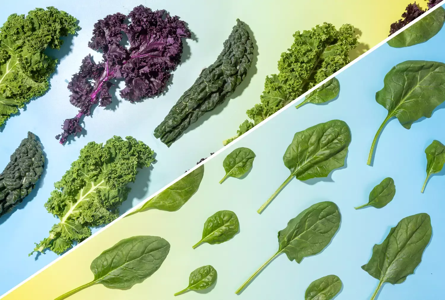 Kale vs. Spinach: Which Green Reigns Supreme?