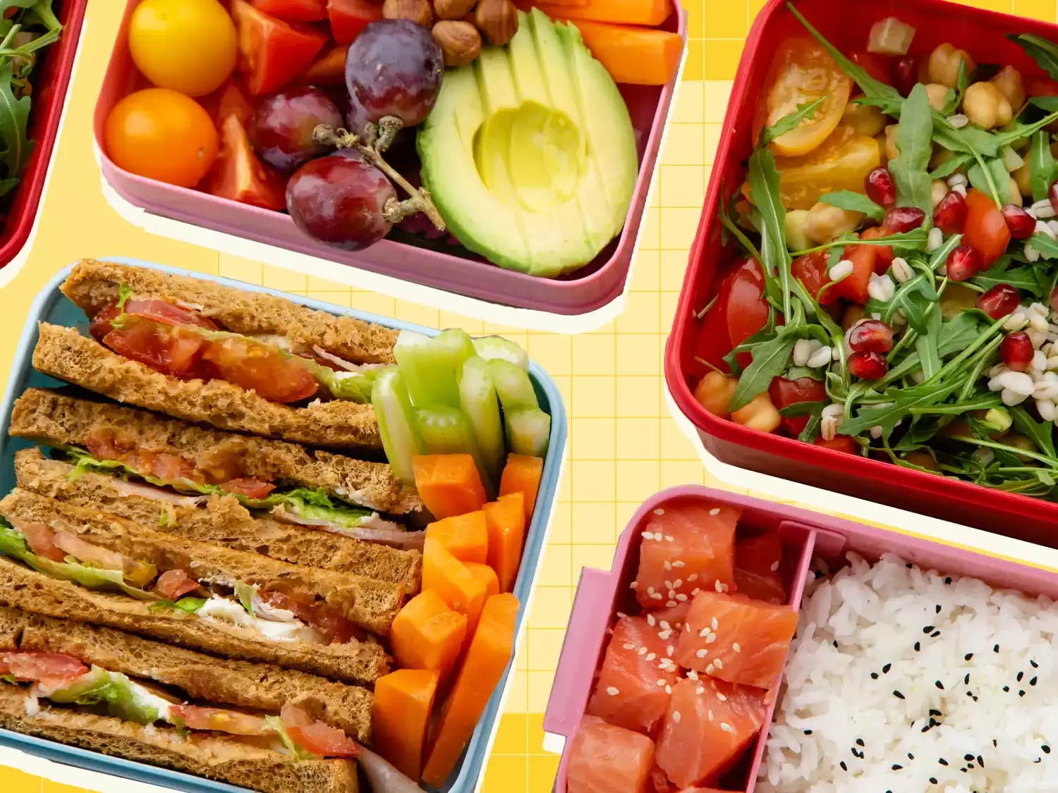 Expert Strategies for Effortless and Enjoyable Packed Lunches