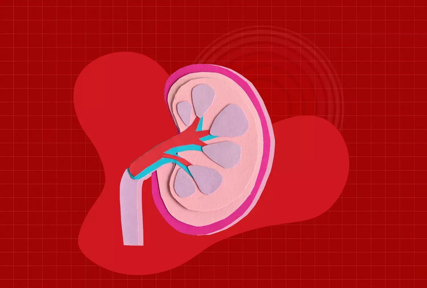 The Hidden Risk of Excessive Electrolyte Drink Consumption for Kidney Health