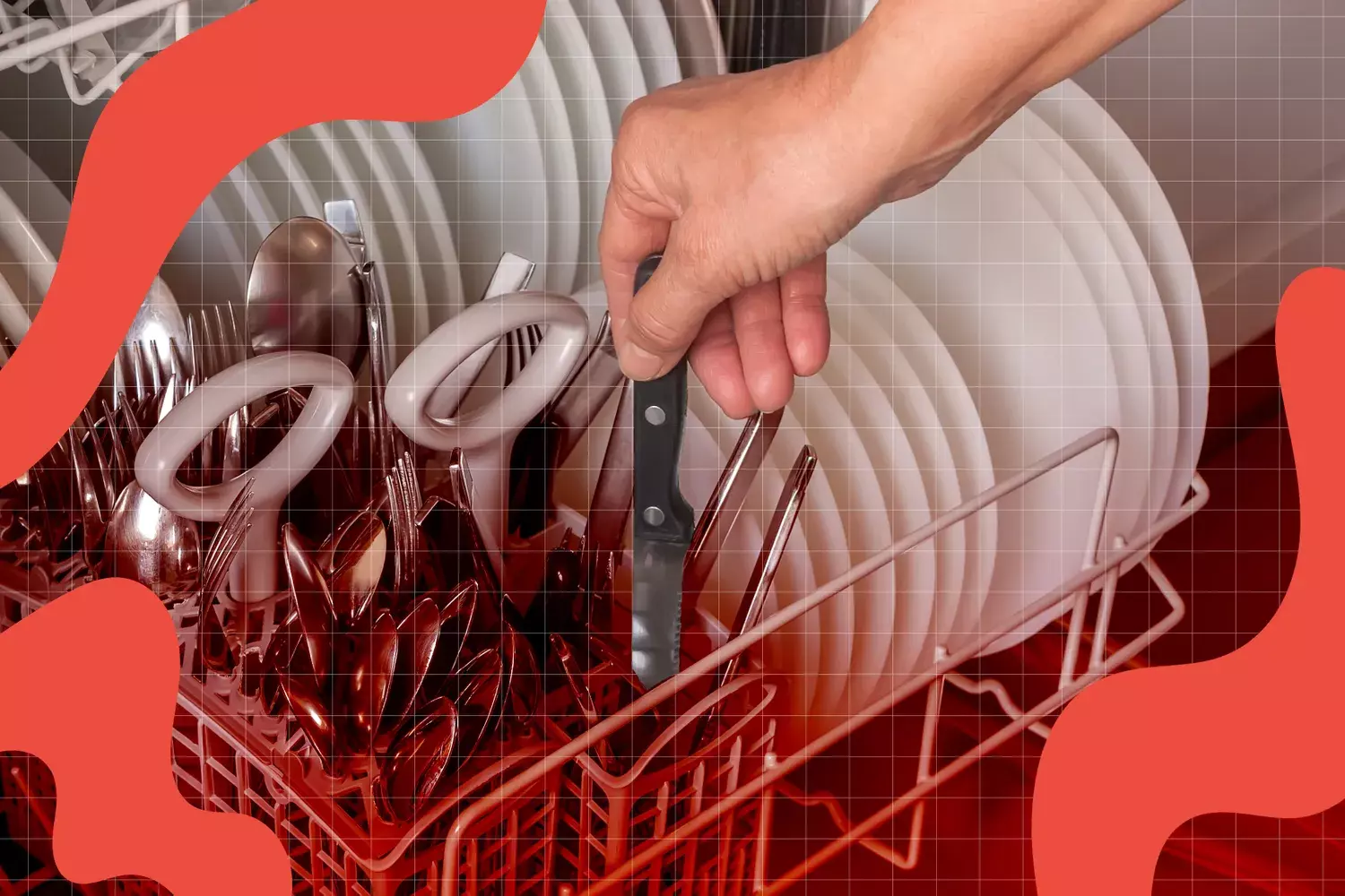 Mastering Knife Care: Common Mistakes and Expert Tips for Longevity