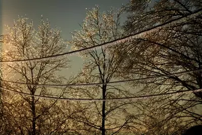 Ice Storms: Understanding the Hazards and Preparing for Impact