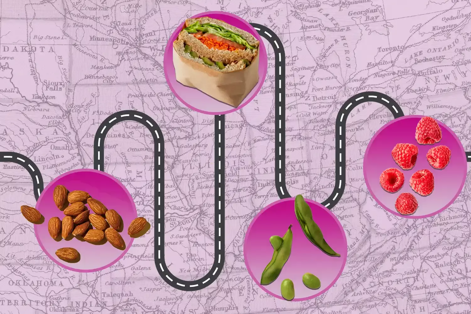 The Indispensable Nutrient for Travelers: Fiber's Crucial Role in Maintaining Health