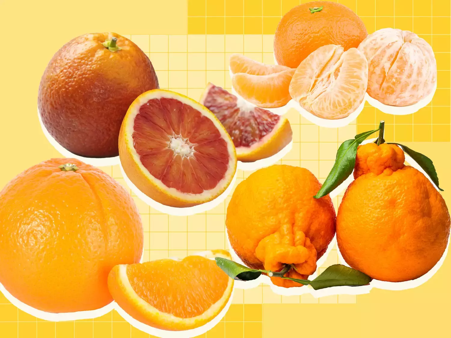 A Comprehensive Guide to Orange Varieties