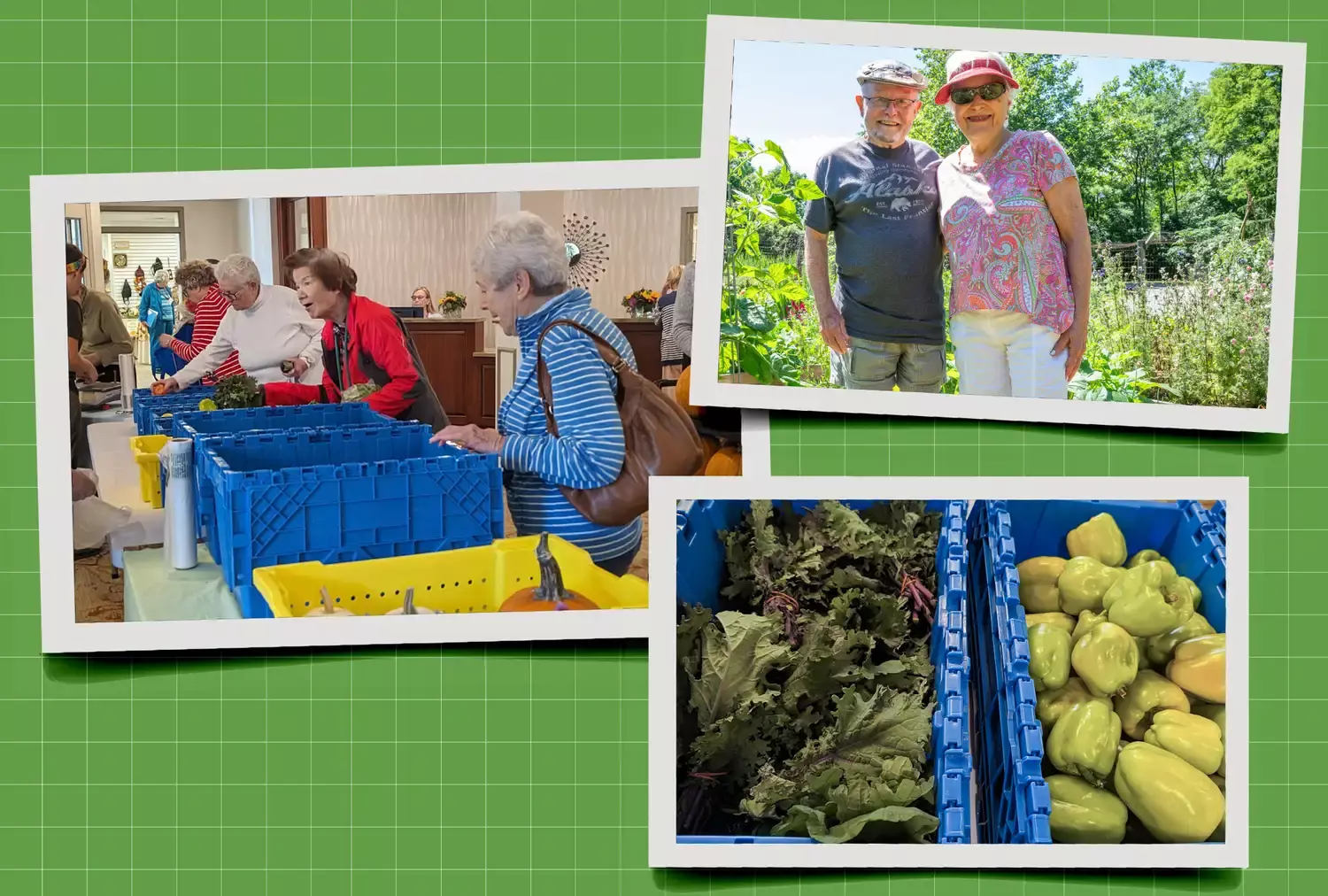 Cultivating Wellness: Senior Living Embraces Regenerative Agriculture