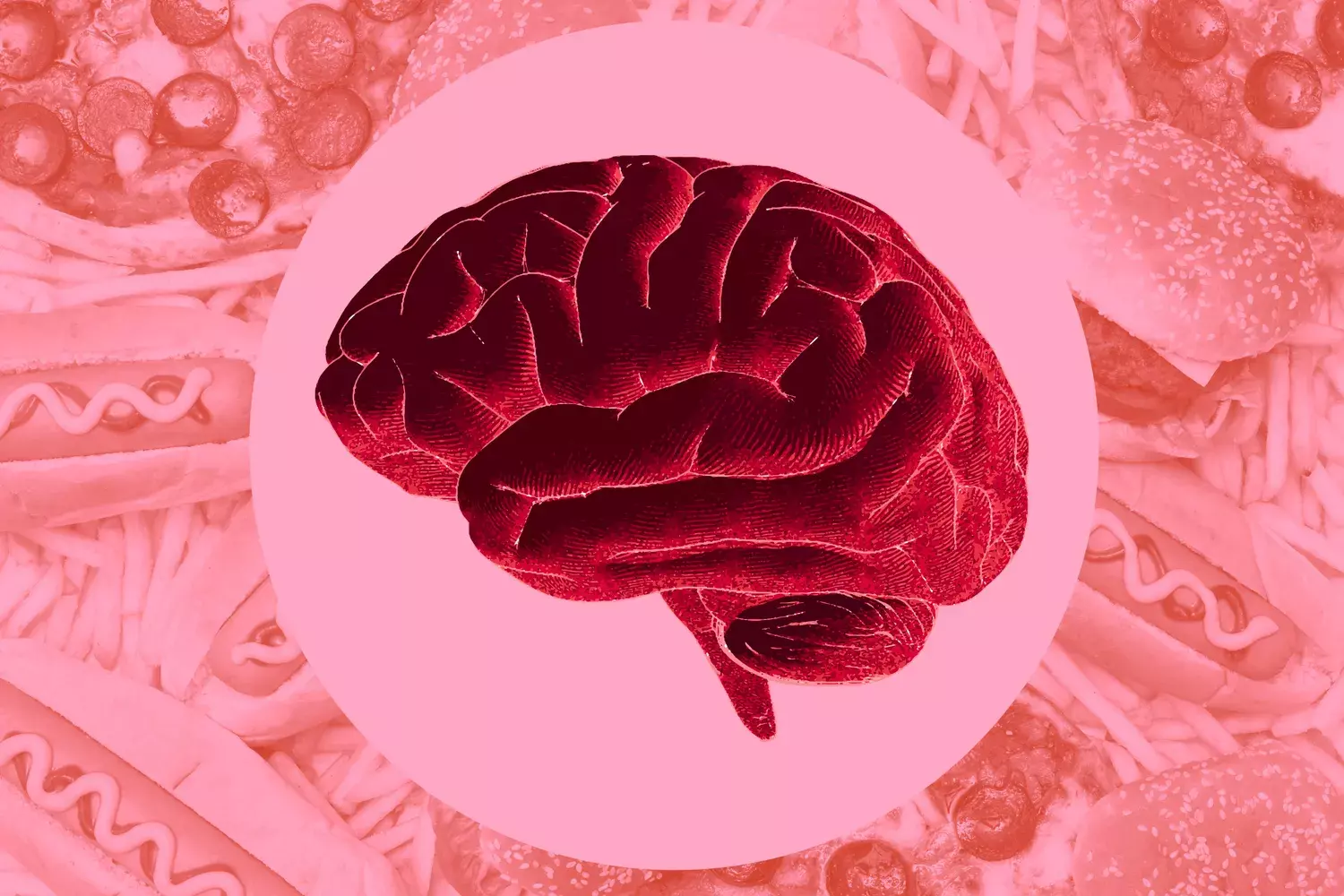 The Impact of Ultra-Processed Foods on Brain Health: A New Review