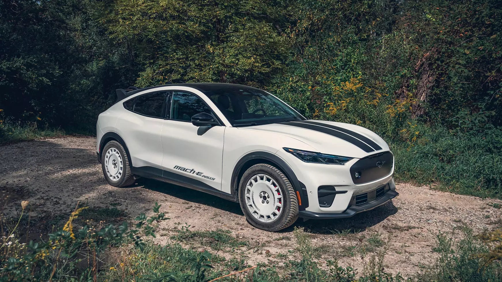 Ford Mach-E: The Frunk's New Price Tag