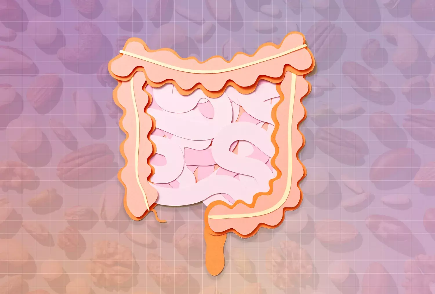 The Unsung Hero: Omega-3s and Gut Health