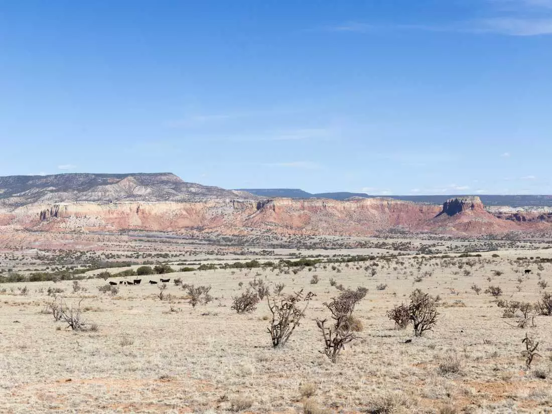 Reconsidering Georgia O'Keeffe's Legacy and Preserving Her Beloved Landscape
