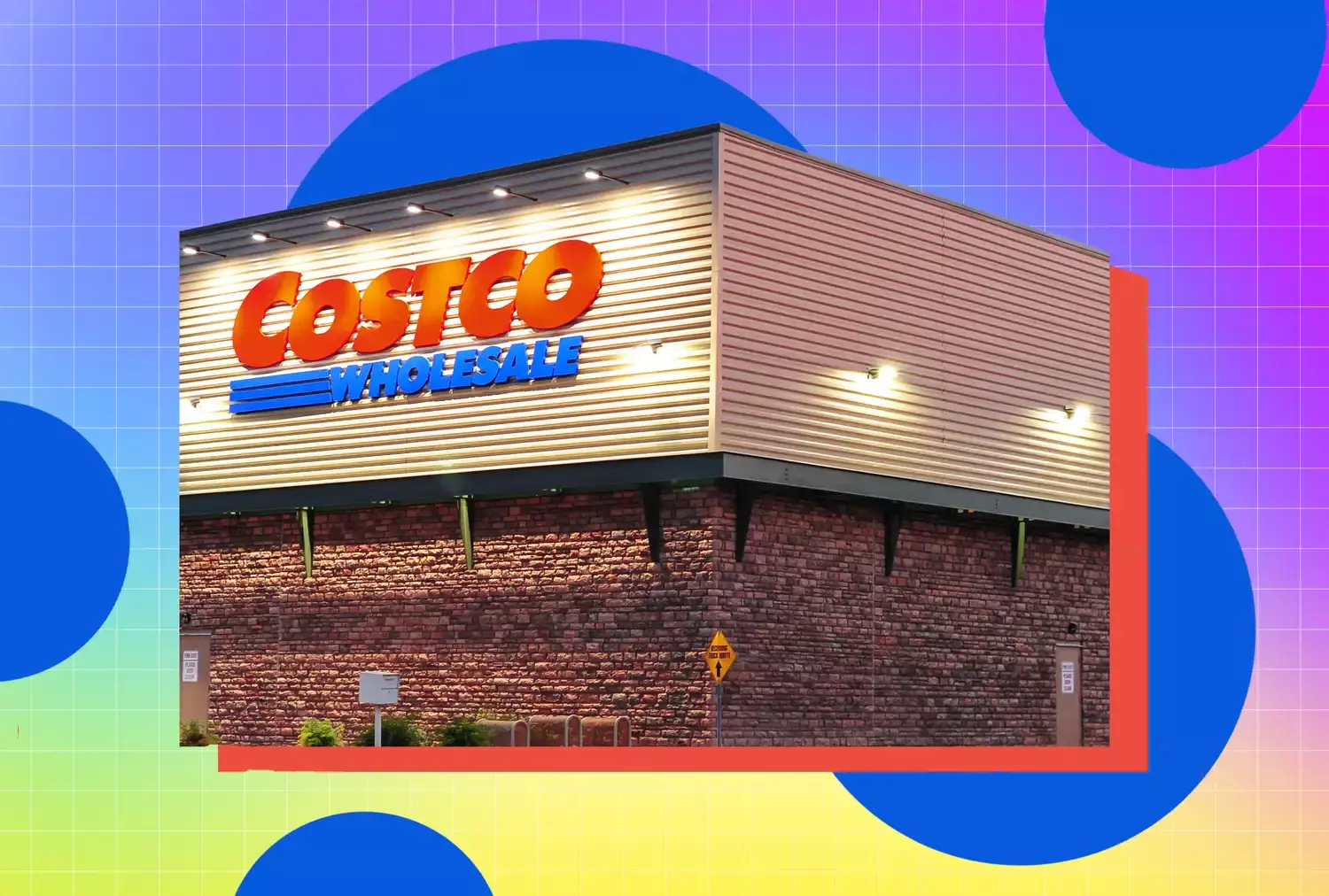 Top 5 Anti-Inflammatory Canned Foods to Grab at Costco