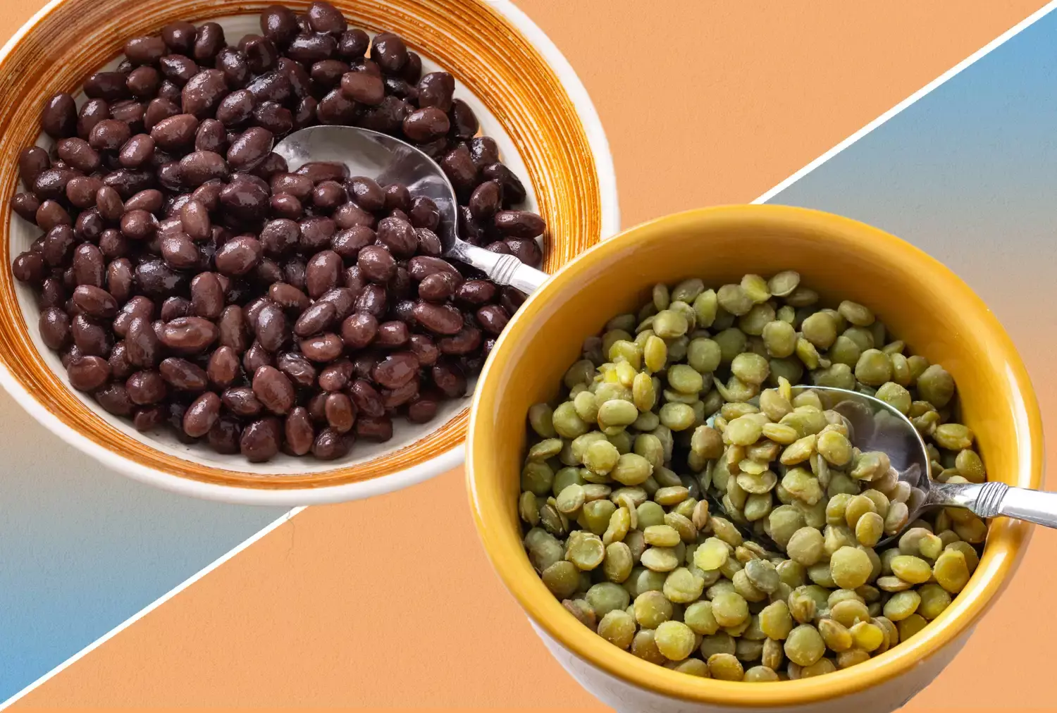 Beans vs. Lentils: Which is Easier to Digest?