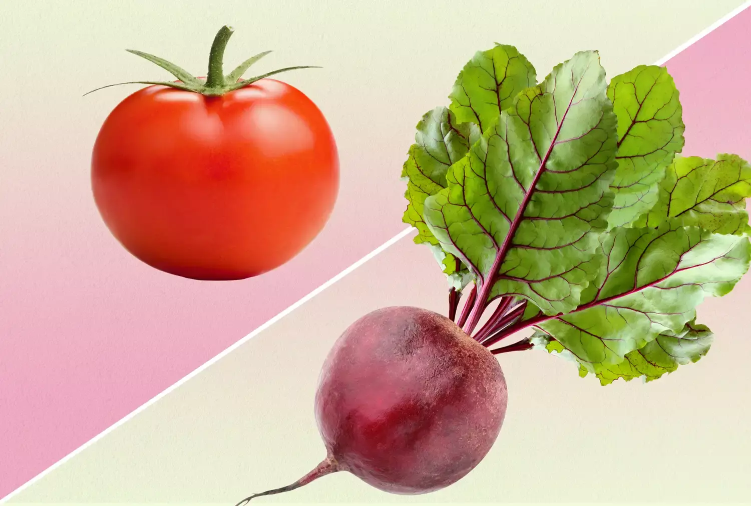 Tomato Versus Beet: Which Offers More Anti-Inflammatory Benefits?