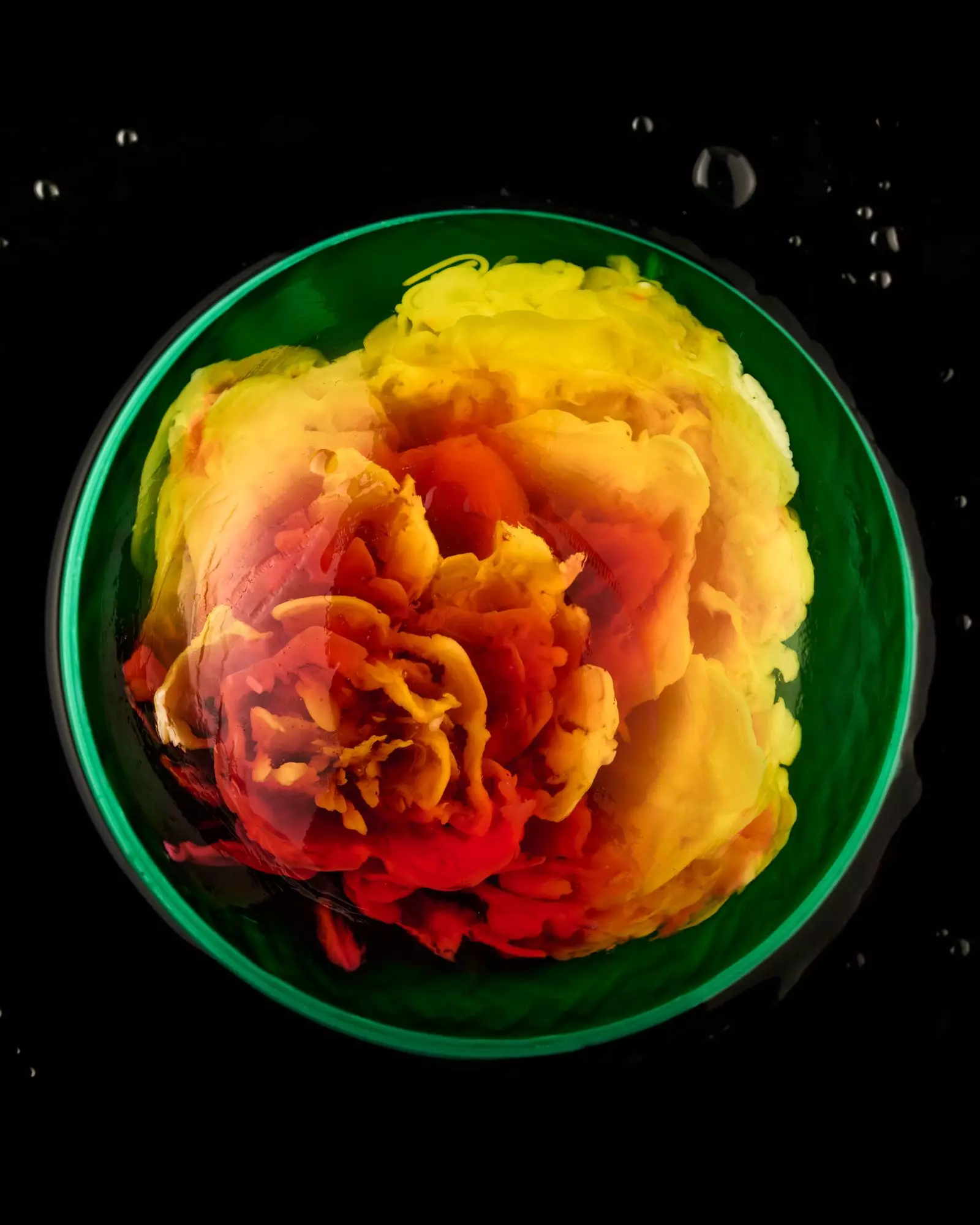 The Art of Jelly: Thu Buser's Edible Masterpieces