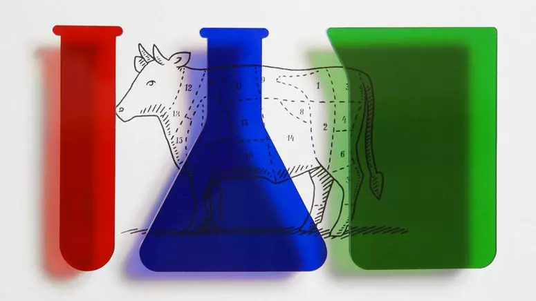 Cell-Cultivated Delicacies: The Future of Fine Dining