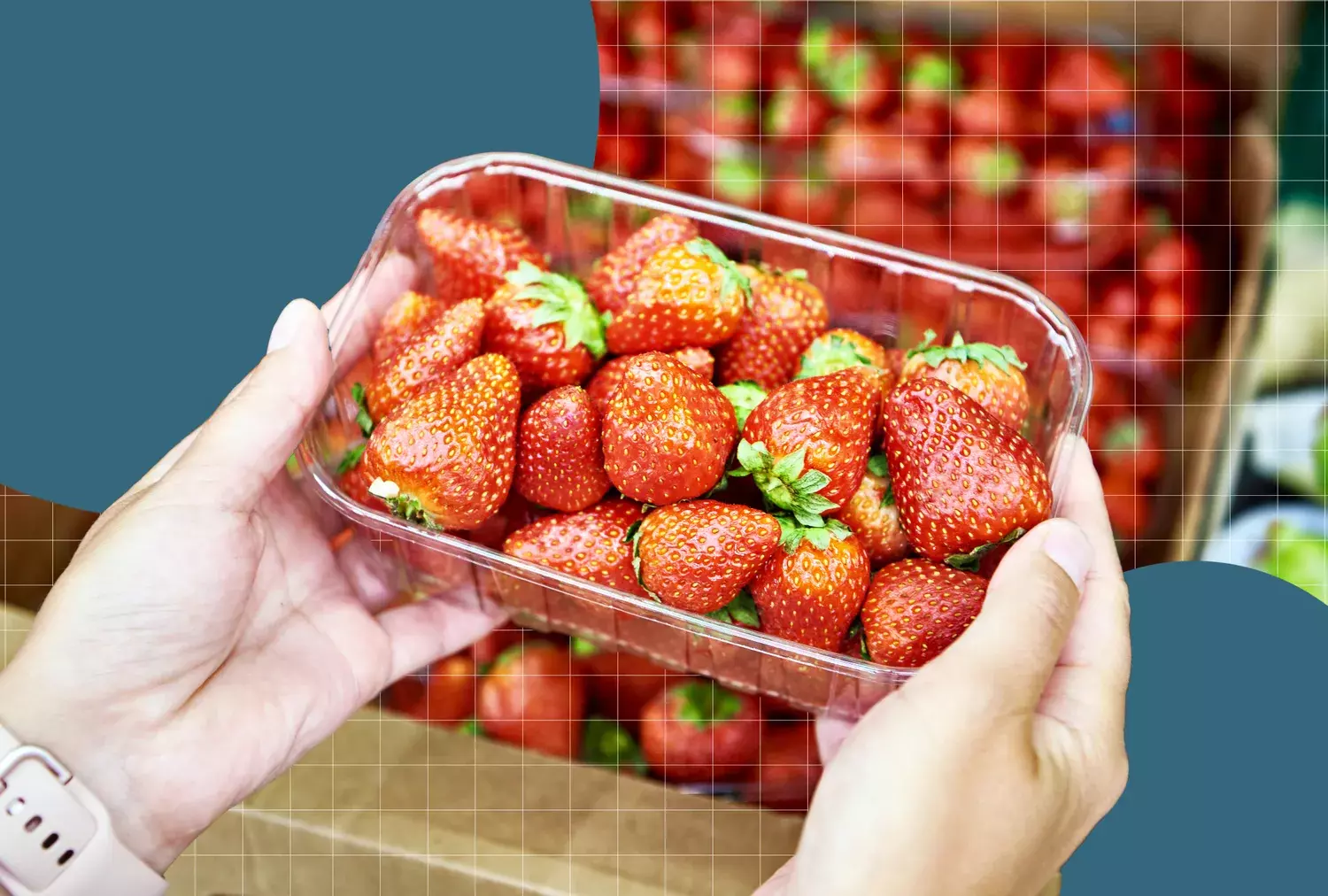 Optimizing Strawberry Freshness: Expert Storage Tips and Essential Tools