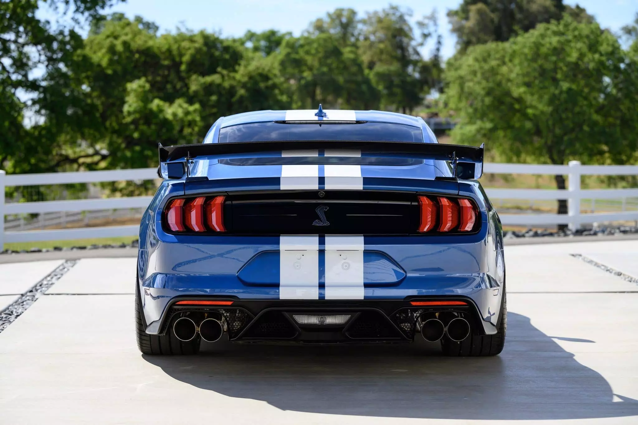 Ford's Strategic Shift: Dropping the Shelby Name for Financial Gains and Brand Reinvigoration