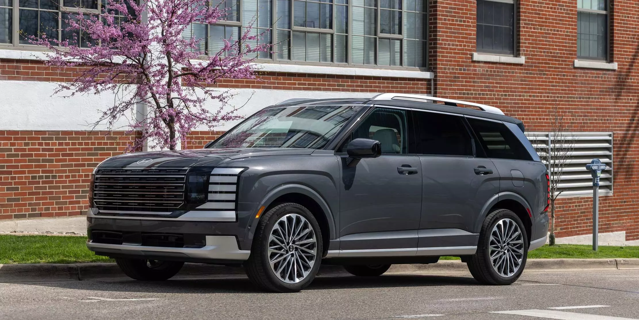2026 Hyundai Palisade Hybrid: Long-Term Test
