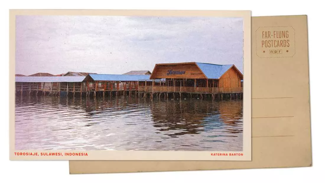 Mangrove Conservation: A Lifeline for Indigenous Fishing Communities in Indonesia