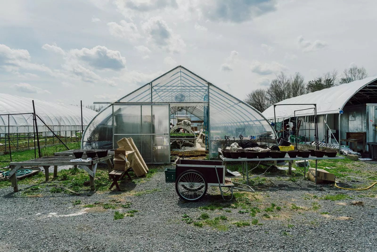 Korean Culinary Masters Establish "First Hand Farm" in Hudson Valley to Cultivate Traditional Ingredients