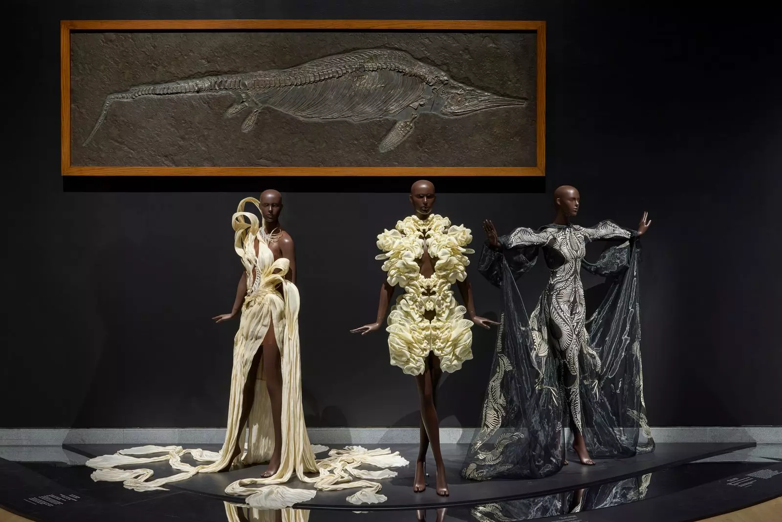 Iris van Herpen's "Sculpting the Senses" Exhibition: A Mid-Career Retrospective at the Brooklyn Museum