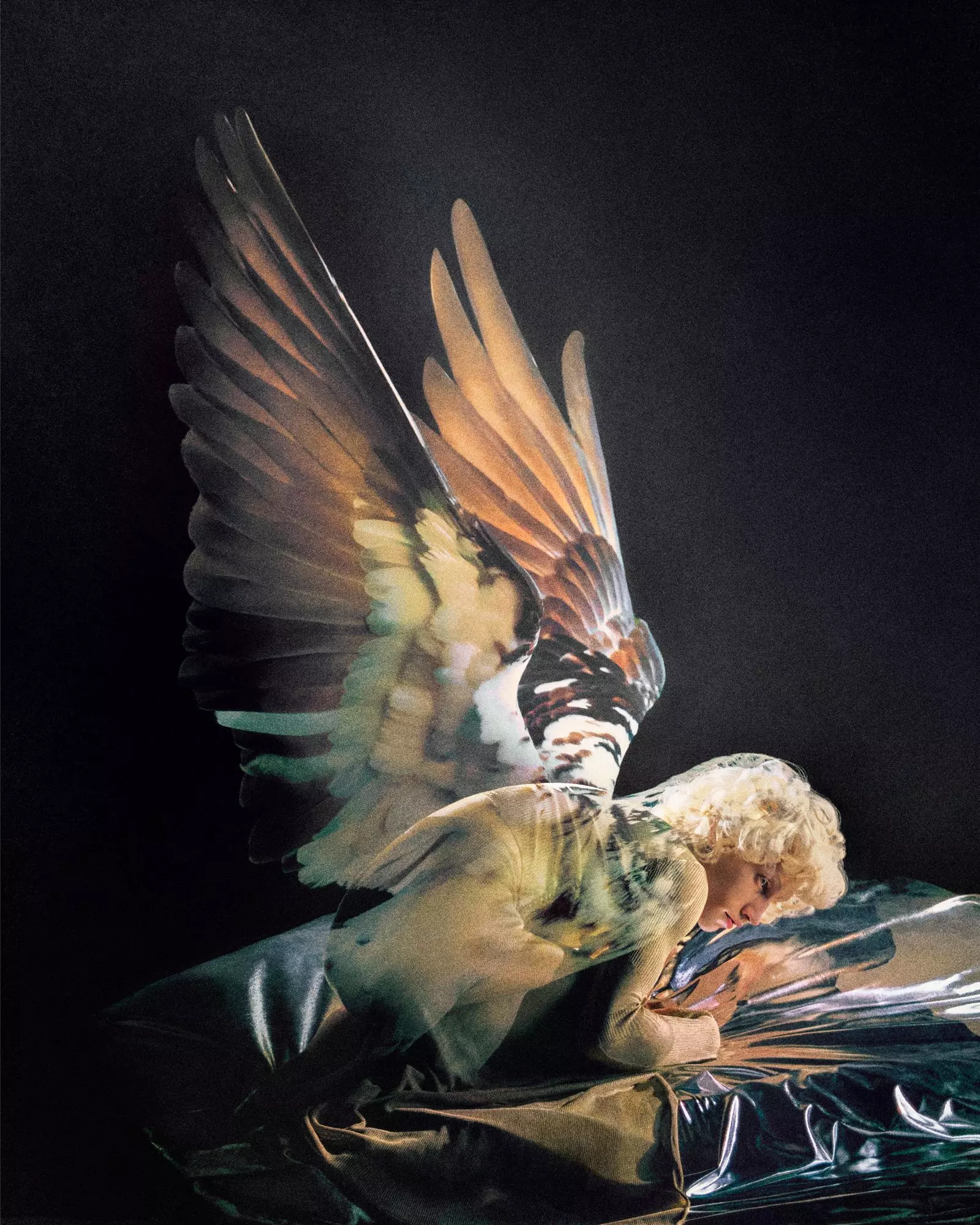 Creator Lab's 10th Season: A Global Showcase of Emerging Photography Talents