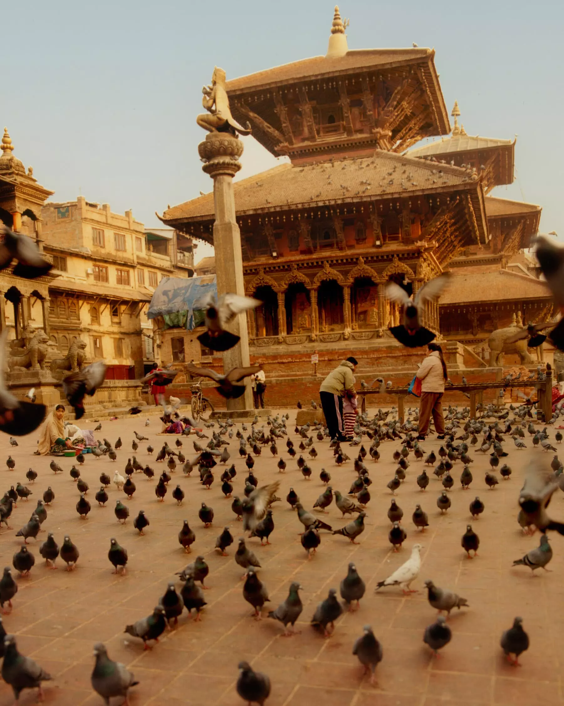 Buddhism's Journey: From Birthplace to Global Influence