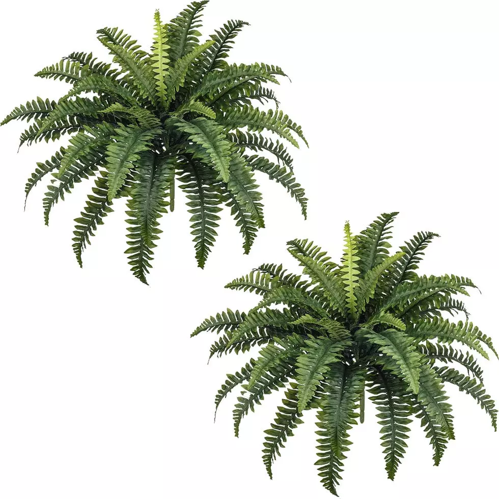 Top Picks: The Most Realistic Artificial Plants on Amazon