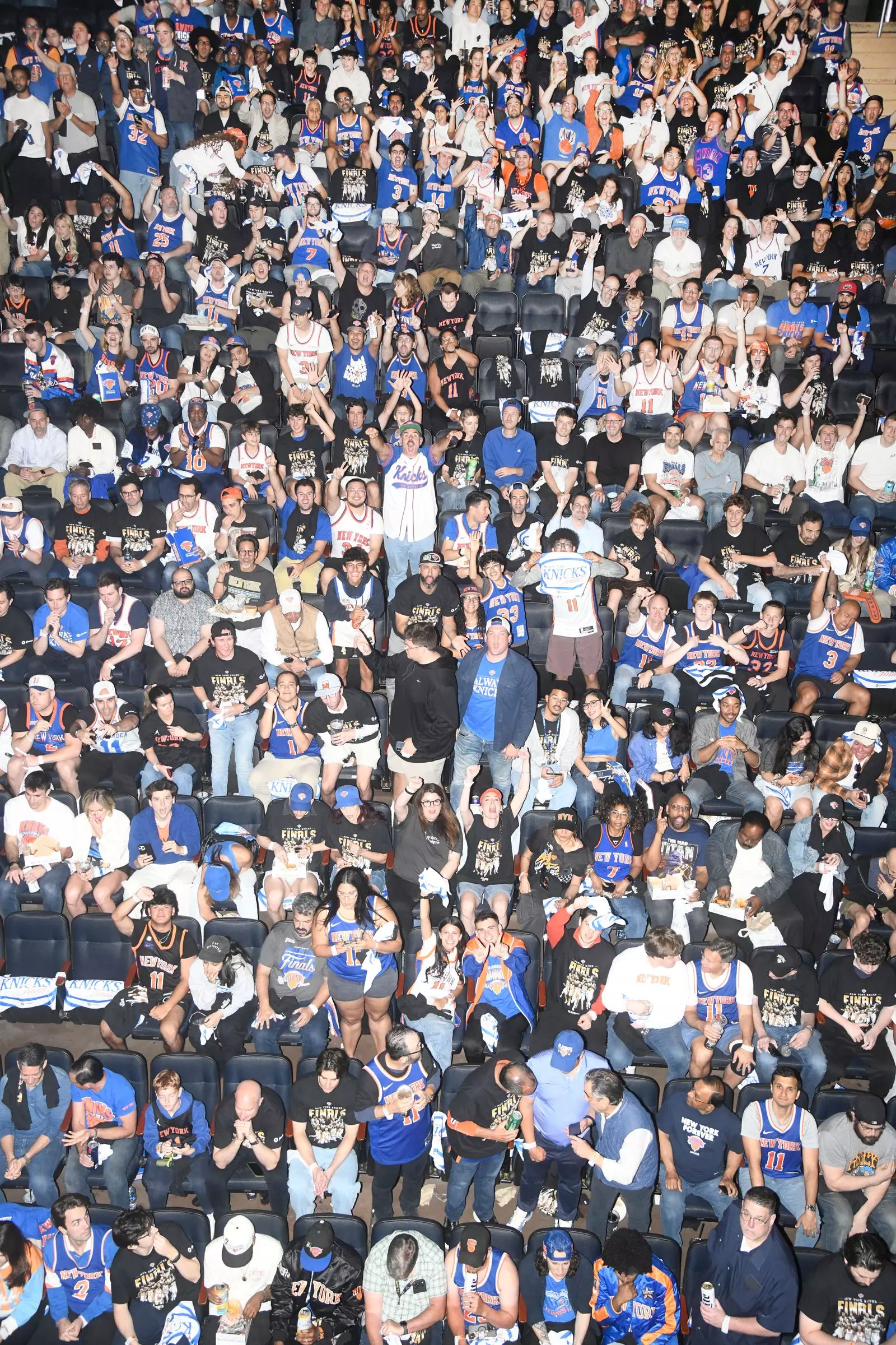 Knicks' NBA Finals Game 3: A Night of High Hopes and Disappointment