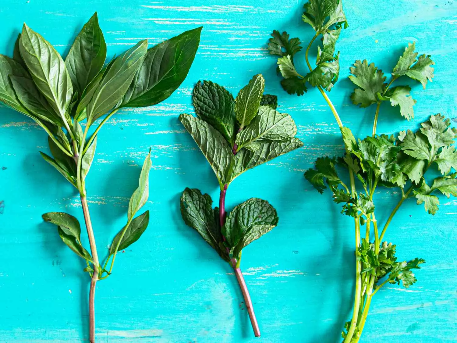 Reviving Wilted Herbs: A Guide to Crafting Flavorful Herb Oils